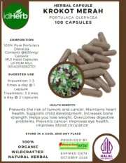 [idHerb] 100-1000 CAPSULES KROKOT MERAH Portulaca Oleracea NATURAL HERBAL