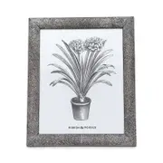 Pigeon & Poodle Oxford Blanc 8 x 10 Frame