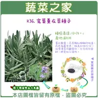 在飛比找樂天市場購物網優惠-【蔬菜之家】K36.寬葉薰衣草種子(共有2種包裝可選)