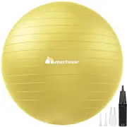 METEOR Yellow 55-65cm Yoga Ball with Pump