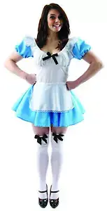 Traditional Alice In Wonderland Inspired Adult Costume | Extra Large