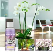 Orchid Liquid Fertilizer Promoting Growth And Flowering Growth Feed Plant Food