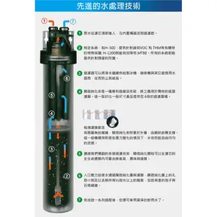 Everpure S100單道淨水器 / 無鉛龍頭