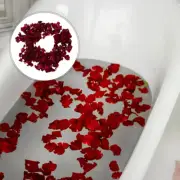 2 Packs Dried Petals Rose Petals Wedding Gift Box Filler