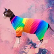 Colourful Rainbow Cat Romper Catsuit Pyjamas Sphynx Clothes Jumper Jumpsuit Warm