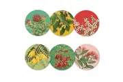 100% NZ: Native Botanicals of NZ Coasters (Set of 6)