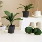 Artificial Phalaenopsis Leaves Real Touch Fake Orchid Plant Wedding Home Decor