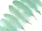 USA SELLER | 1 Pack - Aqua Green Goose Satinettes loose feathers 0.3 oz. Craft