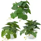 3 Packs Fake Plants, Small Artificial Plants with Pots, Fake Potted White