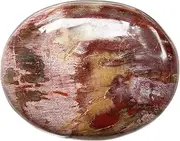 Fekuar Natural Polished Pocket Palm Stone for Chakra Balancing Collection, Healing Crystal Energy Worry Stones Fengshui Home Decoration, Irregular Shape, Petrified Wood(100-150g)