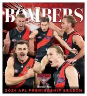 2024 AFL FOOTBALL Essendon Bombers TEAM POSTER,FREE POST ,BARGAIN 3