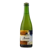 Future Mountain Alameda Golden Sour