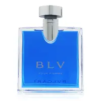 在飛比找Yahoo奇摩購物中心優惠-BVLGARI 寶格麗 藍茶男香淡香水 100ML TEST