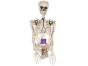 Plastic Skeleton 3ft Skull Halloween Props Decorations Haunted House Posable