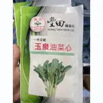 原包裝 1/4磅 油菜心 油菜花 甜菜心 甜菜心種子 玉泉菜心 油菜花種子 玉泉油菜心 油菜心種子 玉泉油菜心種子