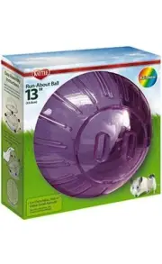 Kaytee Run-About Ball Clear Mega 13 inch Diameter Toy for Chinchillas, Rats