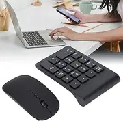 ElgnAura 1200 DPI Sensitive Number Pad, Wireless Numeric Keypad with 2.4GHz Technology and Mouse Combo for PCs
