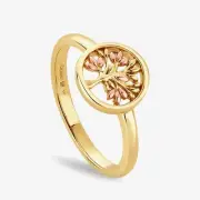 Clogau Tree Of Life 9ct Two Tone Tree Circle Ring Ring GTOL0328