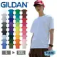吉爾登Gildan 76000 超經典素面圓筒素 經典素T 素面圓筒T 美國棉 短袖 衣服 T恤 短T 【FIZZE】