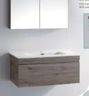 BT900-WH / 900mm Wall Hung Stainless Steel Water-proof Bathromm Vanity
