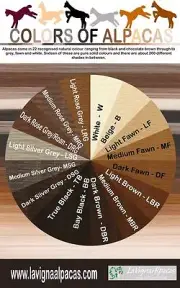 Raw Alpaca Fleece Fiber Suri - 1 lb Bag - Asst. Natural Colors Spinning Yarn