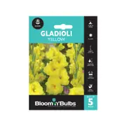 Bloomin' Bulbs Gladioli Yellow - 5 Pack