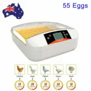55 Eggs Incubator Fully Automatic Digital Led Turning Chicken Duck Eggs Poultry