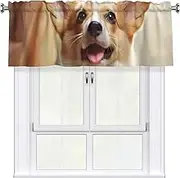 LHBWCVN Cute Corgi Valances for Windows, Rod Pocket Window Treatment Drapes Farmhouse Kitchen Curtains Short Blackout Window Curtains for Living Room Bedroom Decor 54x18 Inch