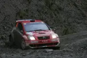 WRC Wales Rally 2007 Darren Gass Citreon Action Motor Racing Old Photo