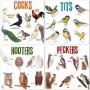 Set of 4 Bird Pun Coasters, Coasters for Drinks, Square 4 Pcs