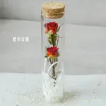 小王子玫瑰花瓶裝玫瑰花束成品玻璃試管玫瑰花永久保存幹花INS風
