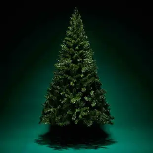 聖誕樹加密家用1.2/1.5/1.8米套餐DIY聖誕節裝飾品聖誕樹發光
