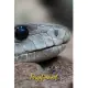 Forget Me Not: Black Mamba Snake.Internet Password Logbook with alphabetical tabs.Personal Address of websites, usernames, passwords
