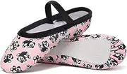 [GJY] Children's Ballet Shoes, Canvas Print Ballet Shoes, Suitable for Yoga, Ballet (Pink) (Color : 35)