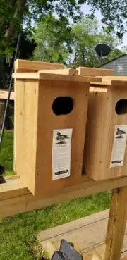 New Winter Woodworks Wood Duck Nesting Box USA Birds Hunting Birdhouse