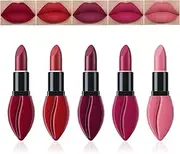 Pure Vie Lipstick Set 5Pcs Matte Liquid Lipstick Non-stick Long Lasting Lip Gloss Kit High Shine for Fuller Looking Lips, Pigmented Lip Makeup Gift Sets for Girls and Women
