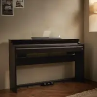 在飛比找momo購物網優惠-【CASIO 卡西歐】APS450 棕色 數位鋼琴 電鋼琴 