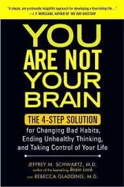 You Are Not Your Brain : The 4-Step Solution for Changing Bad Habits, Ending...