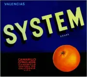 Camarillo System Orange Citrus Crate Label Art Print