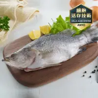 在飛比找博客來優惠-安永鮮物-台灣金目鱸魚(300g)