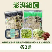 在飛比找台灣好農優惠-宏昇澎湃組C(有機綠豆芽X2+有機黑豆芽X2)+履歷玉米筍2
