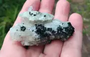 72g Natural Black Tourmaline white Quartz Green Prehnite Crystal Cluster VIDEO