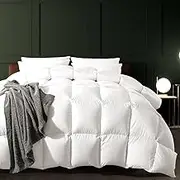 WhatsBedding Feather Fiber Comforter Queen Size Duvet Insert for All Season, 100% Cotton Hotel Collection Down Comforter Alternative, 4 Corner Loops, Gold Piping, 90x90In