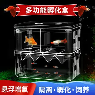 魚缸隔離盒孵化器繁殖盒孔雀魚熱帶魚小魚孵化盒大小號幼魚產卵防