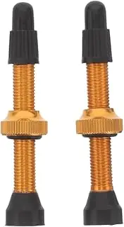 Abaodam 2pcs Leak Tubeless Valve Stems with Tool Durable Metal Valve Caps for Mountain Road Bikes Lightweight Tubeless Tire Replacement Parts