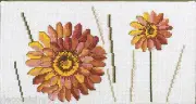 Permin 12-9626 Gerberas Embroidery Counted