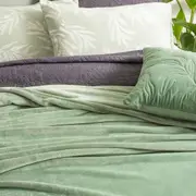 Renee Taylor Plush 380 GSM Ultra Soft Velvet Blanket Eucalyptus