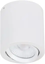 Domus Lighting Neo-Sm Tilt 20W Trio LED Surface Mount Downlight, White