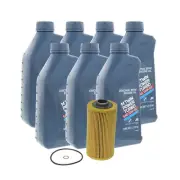 OEM Engine Oil Filter and 10W-60 Synthetic Engine Oil Kit For BMW E39 M5 00-03 (for: BMW)