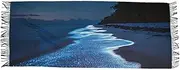 [AIXIWAWA] Night Beach Women's Pashminas Scarf, Shawls Wrap Lightwight Tassel for Evening Dress Dinner Party, Multicolor
